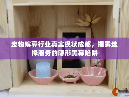 宠物殡葬行业真实现状成都，揭露选择服务的隐形黑幕陷阱