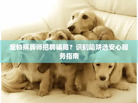 宠物殡葬师招聘骗局？识别陷阱选安心服务指南