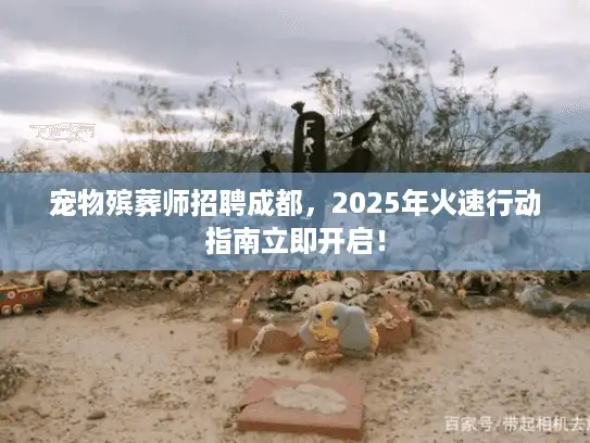宠物殡葬师招聘成都，2025年火速行动指南立即开启！