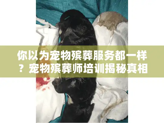 你以为宠物殡葬服务都一样？宠物殡葬师培训揭秘真相
