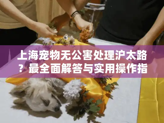 上海宠物无公害处理沪太路？最全面解答与实用操作指南