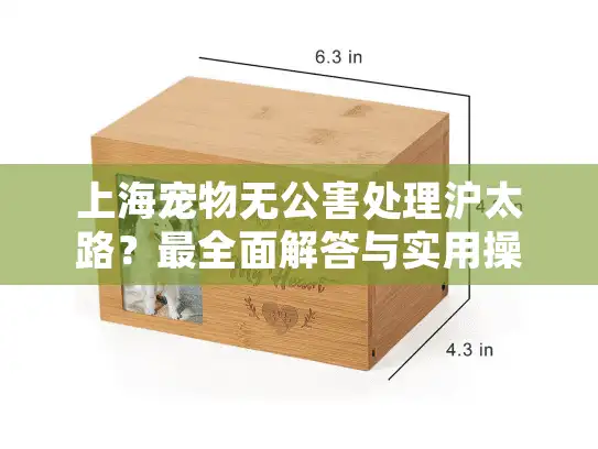 上海宠物无公害处理沪太路？最全面解答与实用操作指南