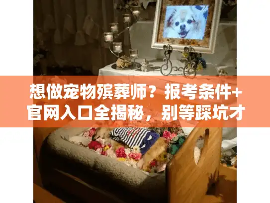想做宠物殡葬师？报考条件+官网入口全揭秘，别等踩坑才看！