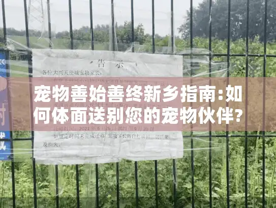 宠物善始善终新乡指南:如何体面送别您的宠物伙伴?
