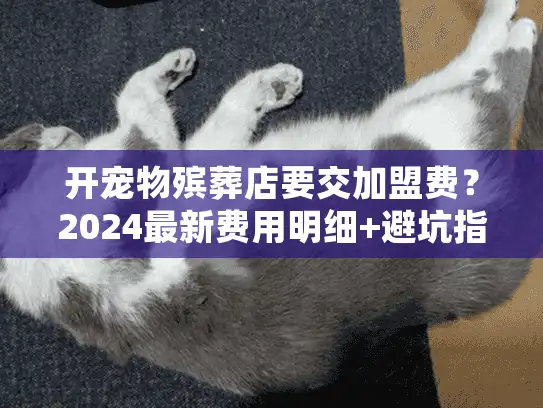 开宠物殡葬店要交加盟费？2024最新费用明细+避坑指南