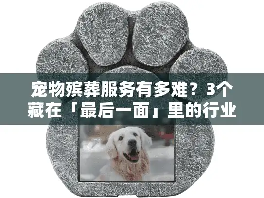 宠物殡葬服务有多难？3个藏在「最后一面」里的行业痛点，养宠人必看