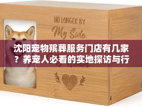 沈阳宠物殡葬服务门店有几家？养宠人必看的实地探访与行业真相