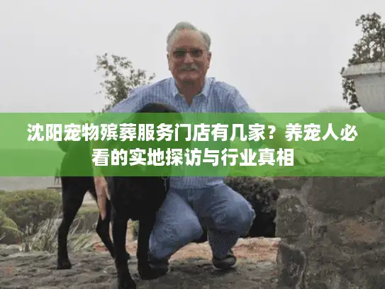 沈阳宠物殡葬服务门店有几家？养宠人必看的实地探访与行业真相
