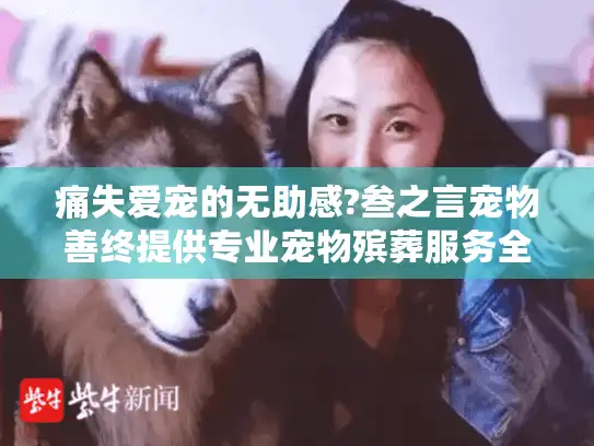 痛失爱宠的无助感?叁之言宠物善终提供专业宠物殡葬服务全解析