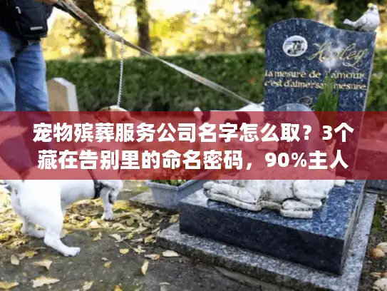 宠物殡葬服务公司名字怎么取？3个藏在告别里的命名密码，90%主人没看懂