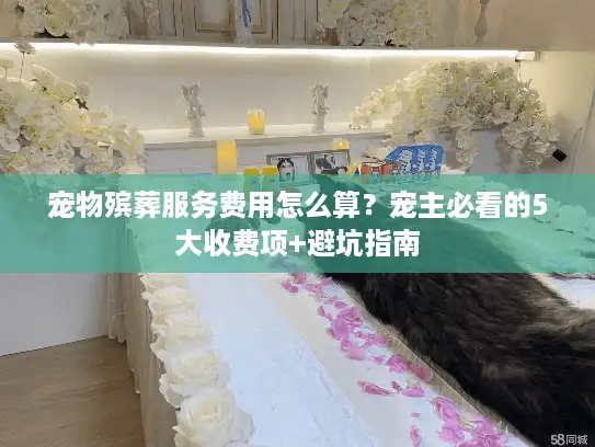宠物殡葬服务费用怎么算？宠主必看的5大收费项+避坑指南