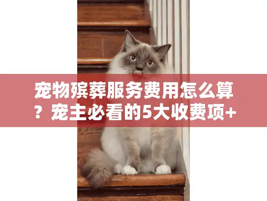 宠物殡葬服务费用怎么算？宠主必看的5大收费项+避坑指南