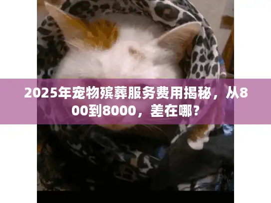 2025年宠物殡葬服务费用揭秘，从800到8000，差在哪？