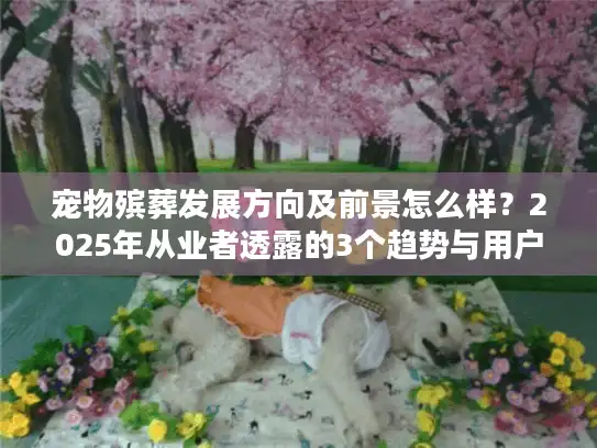 宠物殡葬发展方向及前景怎么样？2025年从业者透露的3个趋势与用户最关心的4个痛点解答