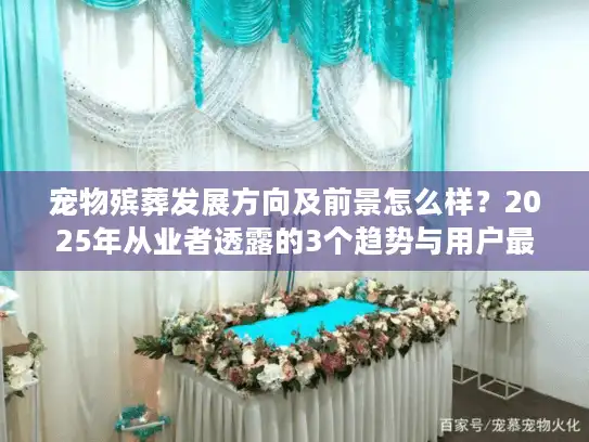 宠物殡葬发展方向及前景怎么样？2025年从业者透露的3个趋势与用户最关心的4个痛点解答