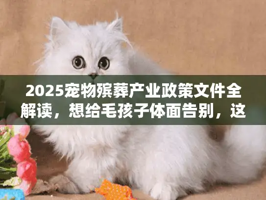 2025宠物殡葬产业政策文件全解读，想给毛孩子体面告别，这些红线和福利必须先搞懂！