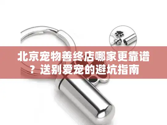 北京宠物善终店哪家更靠谱？送别爱宠的避坑指南