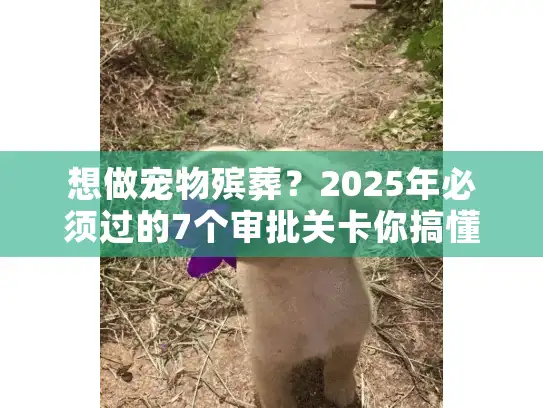 想做宠物殡葬？2025年必须过的7个审批关卡你搞懂了吗
