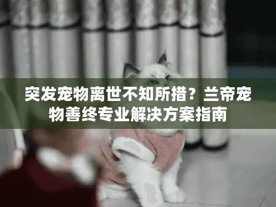 突发宠物离世不知所措？兰帝宠物善终专业解决方案指南