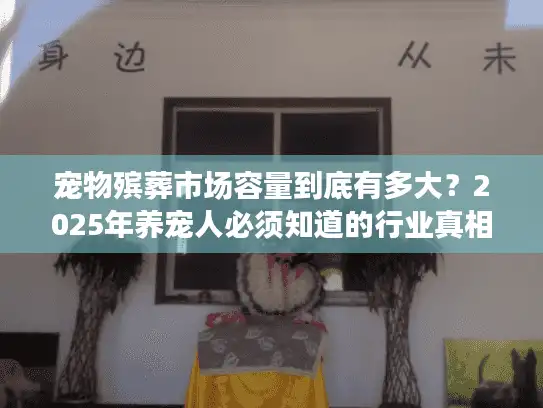 宠物殡葬市场容量到底有多大？2025年养宠人必须知道的行业真相