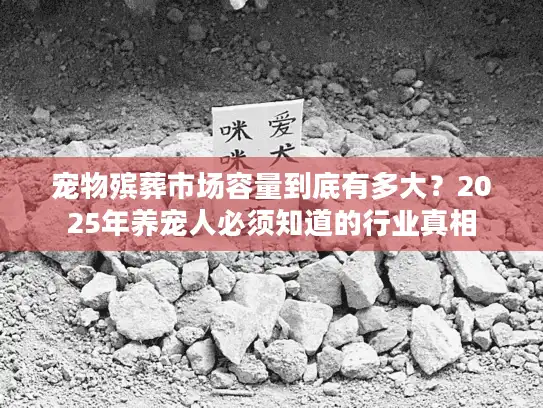 宠物殡葬市场容量到底有多大？2025年养宠人必须知道的行业真相