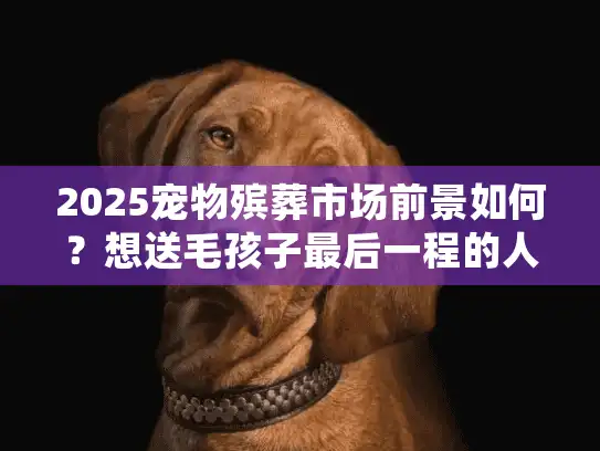 2025宠物殡葬市场前景如何？想送毛孩子最后一程的人，先搞懂这4个关键信号