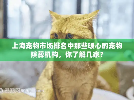 上海宠物市场排名中那些暖心的宠物殡葬机构，你了解几家？