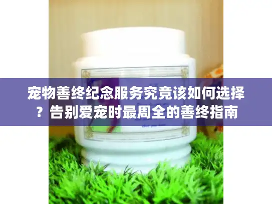 宠物善终纪念服务究竟该如何选择？告别爱宠时最周全的善终指南