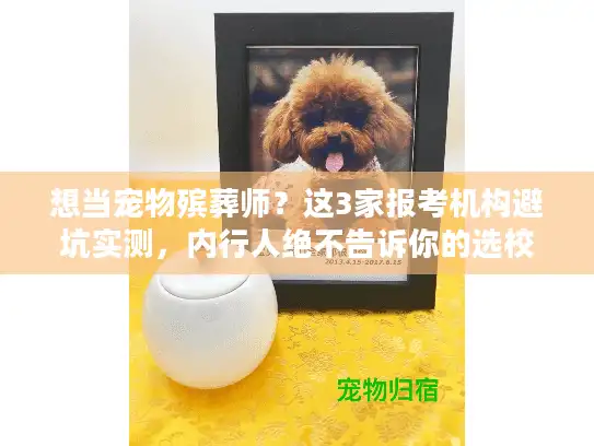 想当宠物殡葬师？这3家报考机构避坑实测，内行人绝不告诉你的选校门道