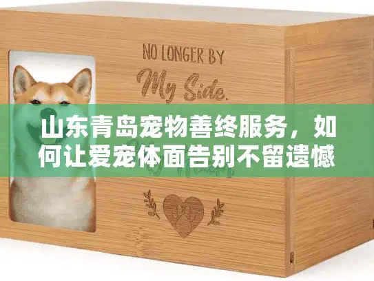 山东青岛宠物善终服务，如何让爱宠体面告别不留遗憾？