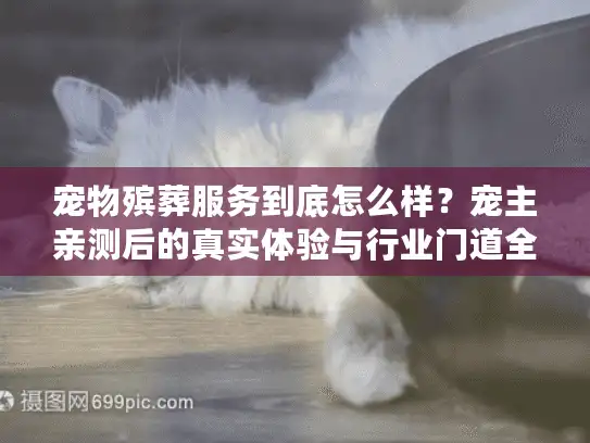 宠物殡葬服务到底怎么样？宠主亲测后的真实体验与行业门道全揭秘