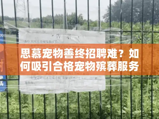 思慕宠物善终招聘难？如何吸引合格宠物殡葬服务人才？