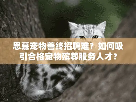 思慕宠物善终招聘难？如何吸引合格宠物殡葬服务人才？