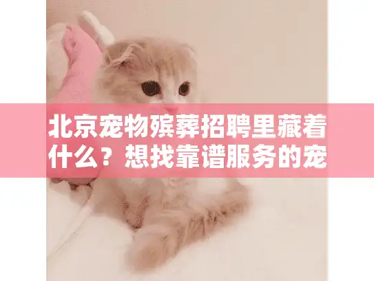 北京宠物殡葬招聘里藏着什么？想找靠谱服务的宠主必看