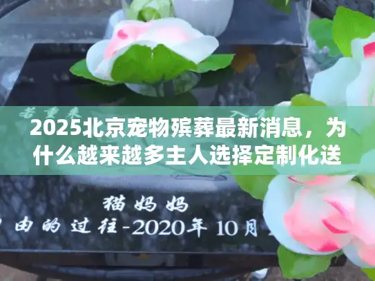 2025北京宠物殡葬最新消息，为什么越来越多主人选择定制化送别？