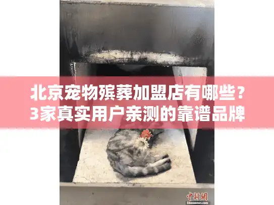 北京宠物殡葬加盟店有哪些？3家真实用户亲测的靠谱品牌揭秘