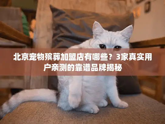 北京宠物殡葬加盟店有哪些？3家真实用户亲测的靠谱品牌揭秘