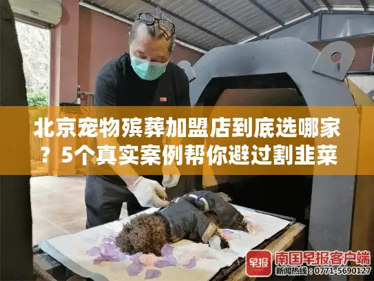 北京宠物殡葬加盟店到底选哪家？5个真实案例帮你避过割韭菜坑