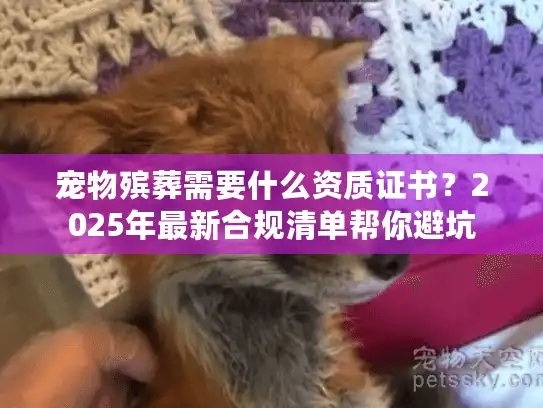宠物殡葬需要什么资质证书？2025年最新合规清单帮你避坑