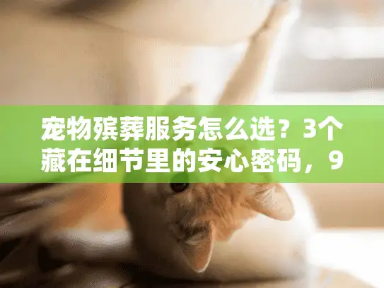 宠物殡葬服务怎么选？3个藏在细节里的安心密码，90%主人都没注意