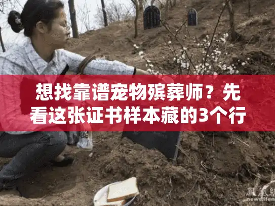 想找靠谱宠物殡葬师？先看这张证书样本藏的3个行业密码！