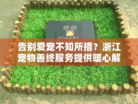 告别爱宠不知所措？浙江宠物善终服务提供暖心解决方案