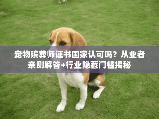 宠物殡葬师证书国家认可吗？从业者亲测解答+行业隐藏门槛揭秘