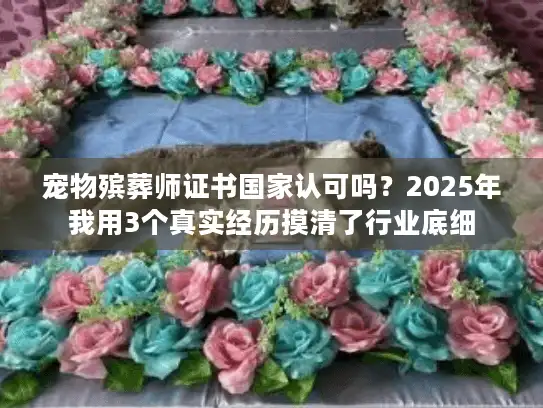 宠物殡葬师证书国家认可吗？2025年我用3个真实经历摸清了行业底细