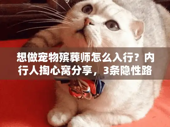 想做宠物殡葬师怎么入行？内行人掏心窝分享，3条隐性路径+2个必避坑