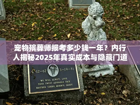 宠物殡葬师报考多少钱一年？内行人揭秘2025年真实成本与隐藏门道