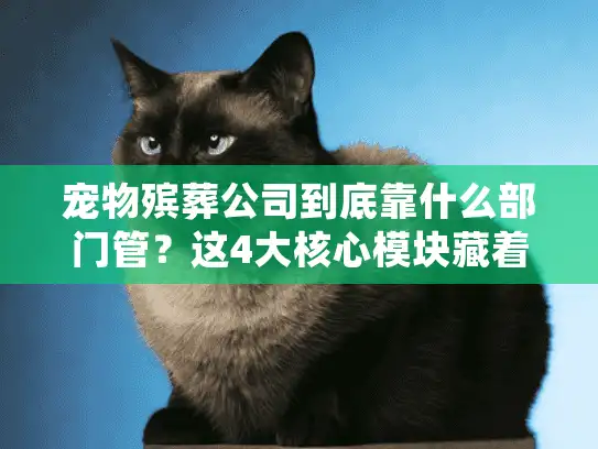宠物殡葬公司到底靠什么部门管？这4大核心模块藏着你没注意的服务细节
