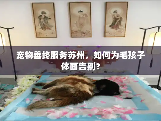 宠物善终服务苏州，如何为毛孩子体面告别？