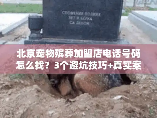 北京宠物殡葬加盟店电话号码怎么找？3个避坑技巧+真实案例帮你快速对接正规服务