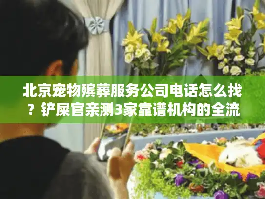 北京宠物殡葬服务公司电话怎么找？铲屎官亲测3家靠谱机构的全流程避坑指南